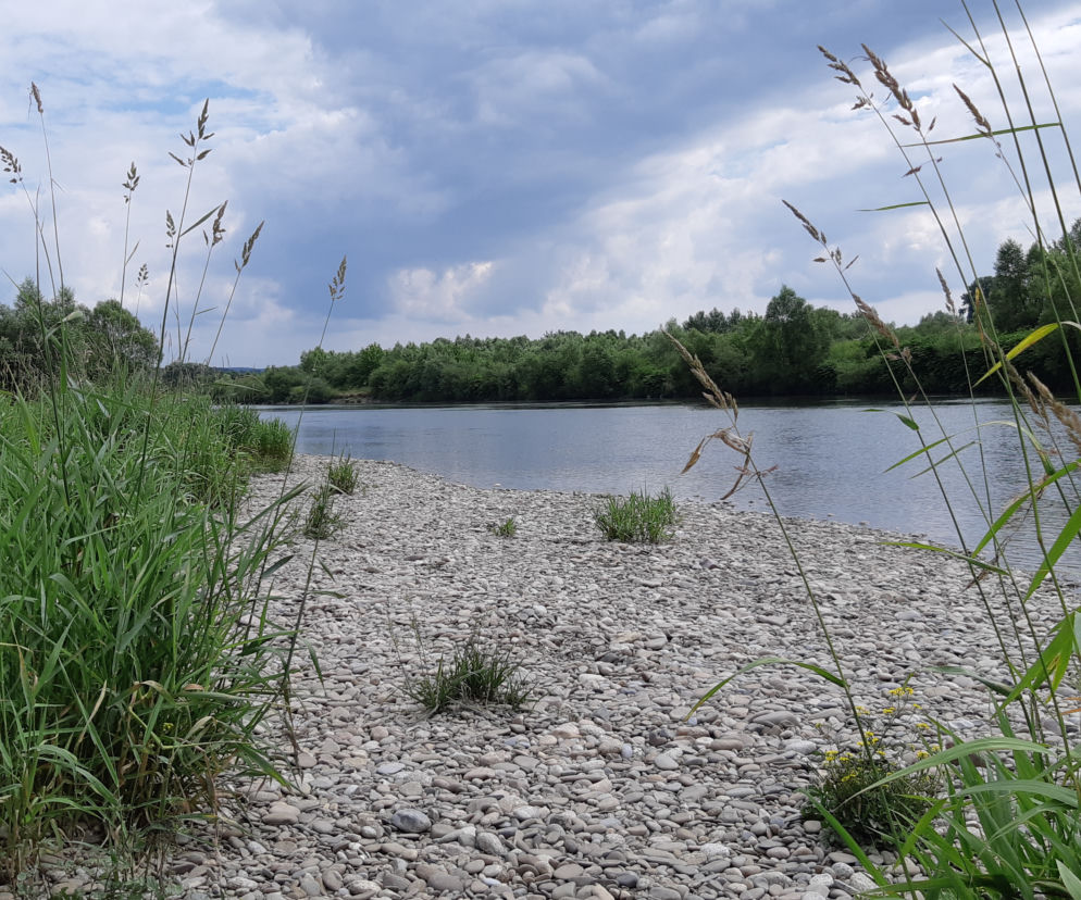 Rzeka 
