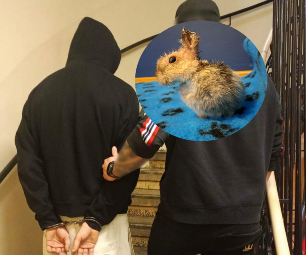 21-latek bestialsko okaleczył Marcysia i porzucił go w zaroślach. Mężczyzna przyznał się do winy