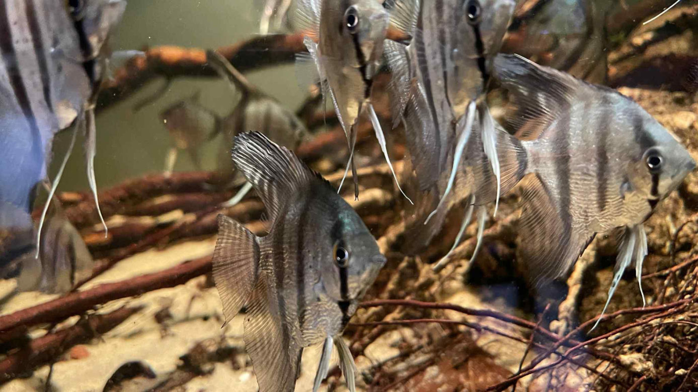 Rozmawiamy z Tomaszem Wiśniewskim, założycielem Aqua Dreams Bydgoszcz