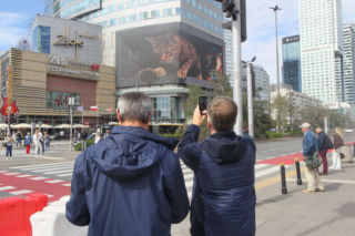 Kot na ekranie reklamowym LED Warsaw STAGE na wieżowcu Skylight