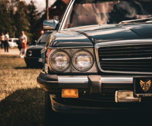 Tak było na Zalewiadzie 2025