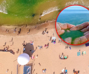 Niemiecka plaża zamknięta przez toksyczne glony. Nie wchodźcie do wody!