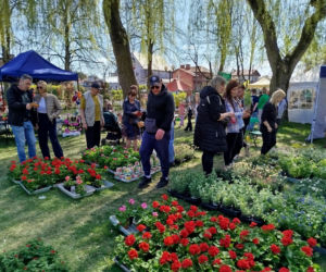 Za nami XVIII Wiosna na polu i w ogrodzie. Zobacz zdjęcia!