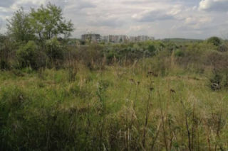 Na Górkach Czechowskich była polana śmierci? 