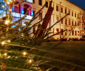 Iluminacje świąteczne w Szczecinie
