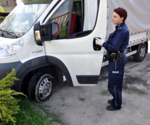 Pościg za szaleńcem