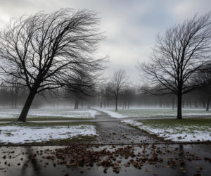 Żagań drży! Mroźny cios 20.11.2025, czy to początek zimowej apokalipsy?