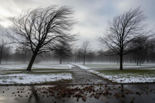 Żagań drży! Mroźny cios 20.11.2025, czy to początek zimowej apokalipsy?