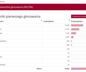 Wybory prezydenckie 2020 w woj. śląskim. W Katowicach i Sosnowcu wygrał Rafał Trzaskowski [WYNIKI W MIASTACH I POWIATACH]