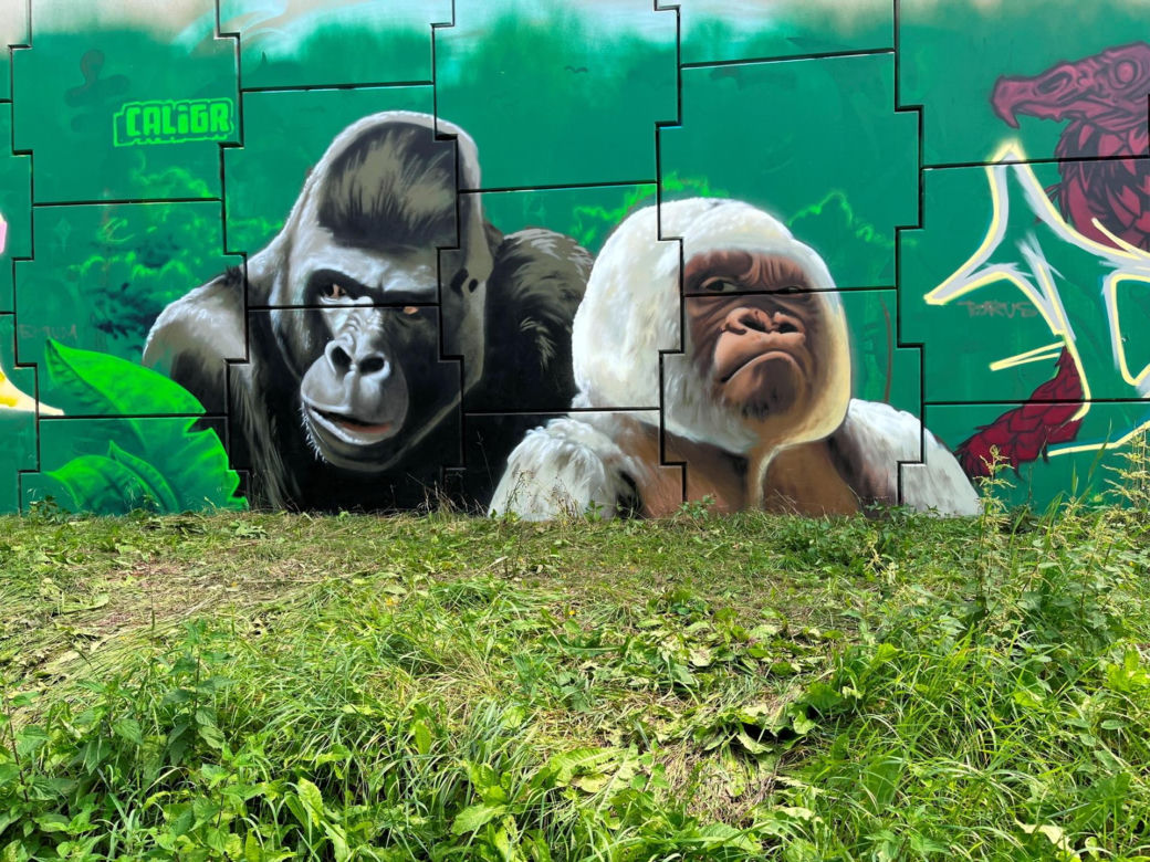 XIII Międzynarodowym Festiwalu Sztuki Graffiti Meeting of Styles w Lublinie
