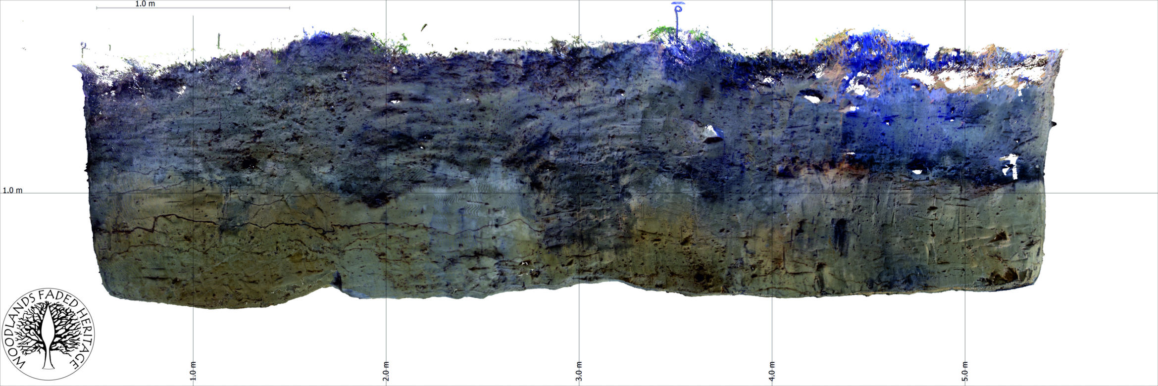 Niezwykłe odkrycie archeologów z UMK w Toruniu!