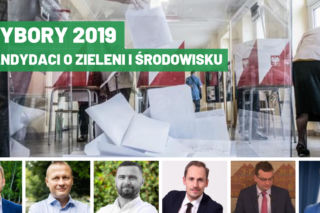 Wybory 2019. Czołowi politycy o zieleni: zbędny temat czy poważna kwestia? [AUDIO]