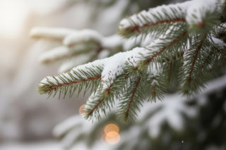 Święta z zimą w Warszawie. Kiedy spadnie pierwszy śnieg?