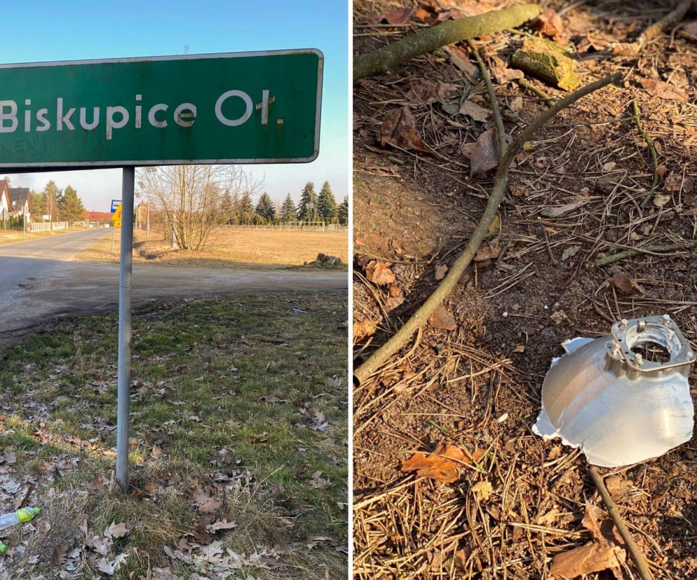 Byliśmy na miejscu śmierci Magdaleny Majtyki. Las przeraża nawet w dzień