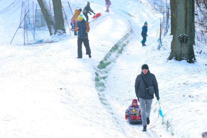To najlepsza zimowa, darmowa atrakcja w Katowicach. Tłumy na torze saneczkowym