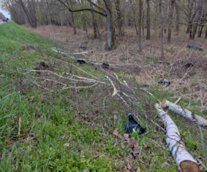 Wyszków. Przerażający widok! Motocykl rozerwany na części i złamane drzewo. Śmigłowiec zabrał kierowcę (ZDJĘCIA]
