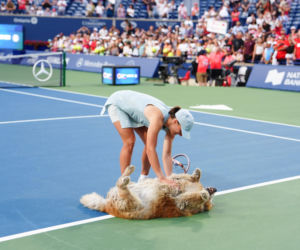 Iga Świątek w zabawie z psem po finale WTA Toronto
