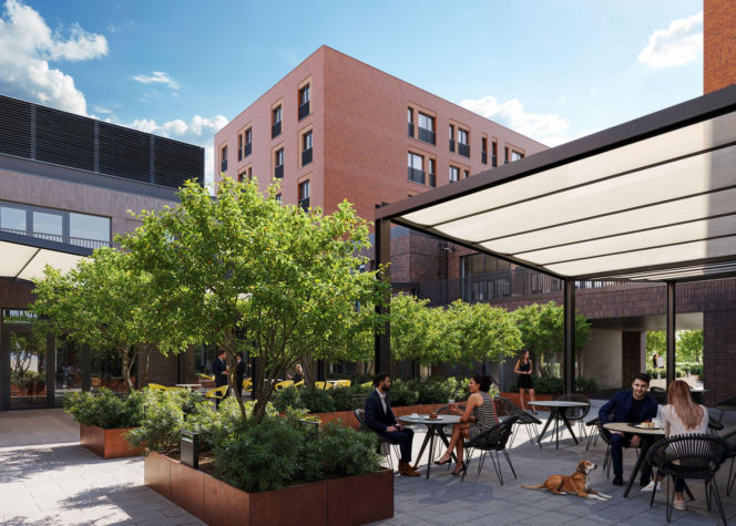 SOHO by Yareal wkracza w ostatnią fazę – SOHO HUB