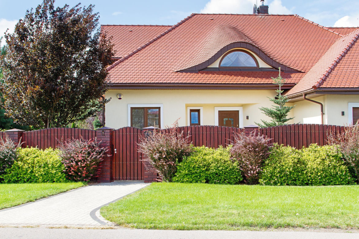 Rośliny na żywopłoty