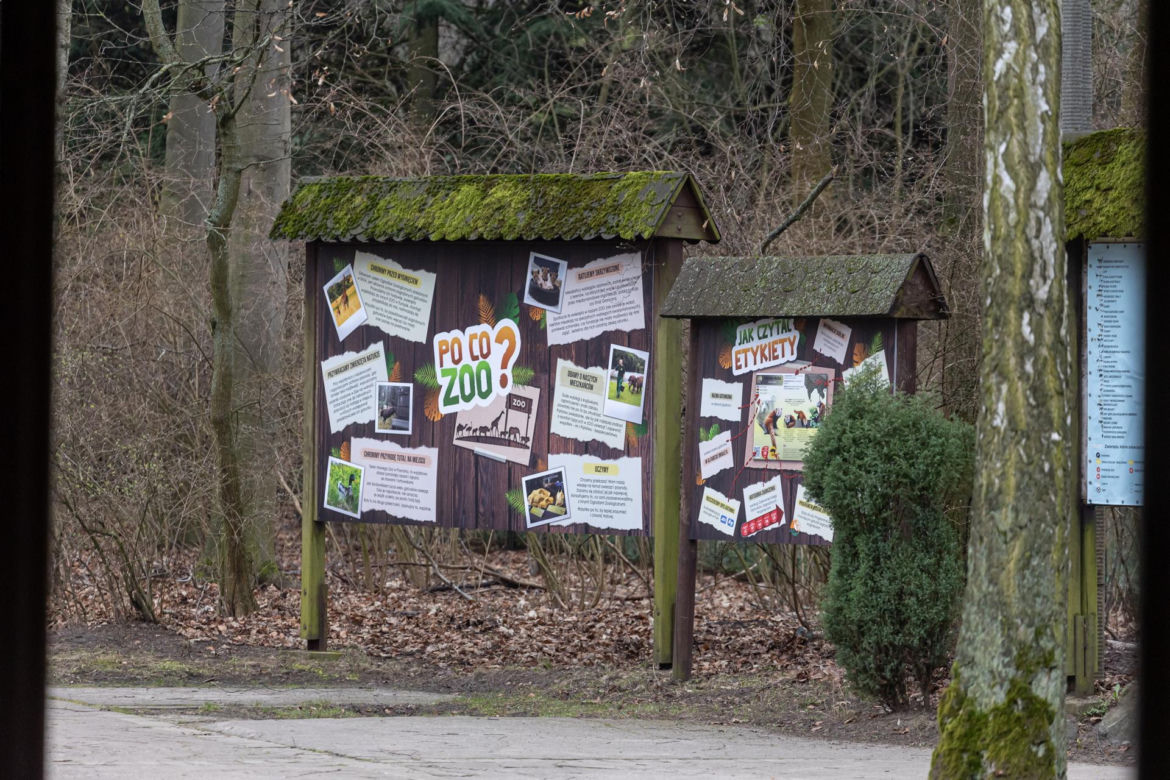 Zatrzymanie Ewy Z. - dyrektorki zoo w Poznaniu