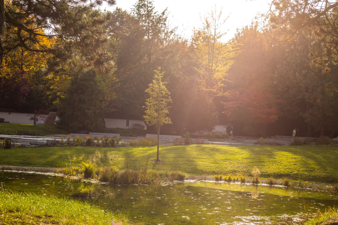 Park Śląski jesienią jest naprawdę piękny
