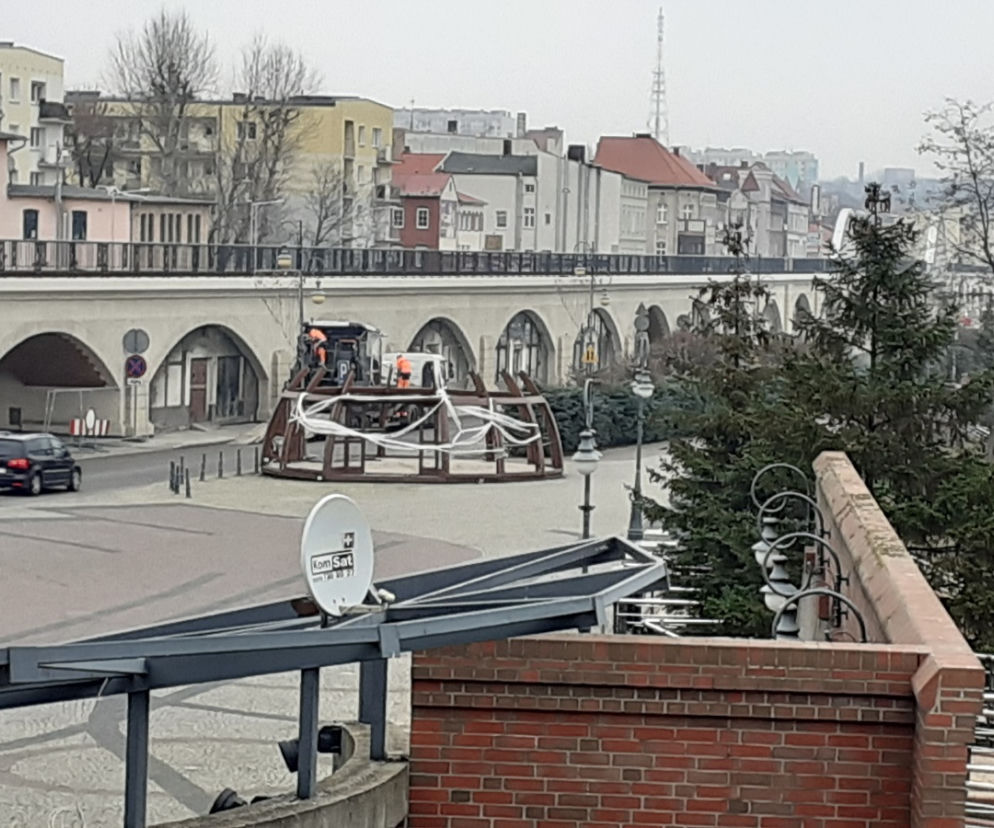 Gorzów bulwar grzyb