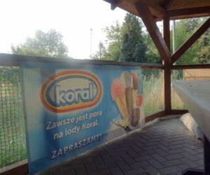 Kiedyś były tutaj Kuchenne Rewolucje, dziś to ruina! Zapomniana restauracja z Czeladzi [ZDJĘCIA]