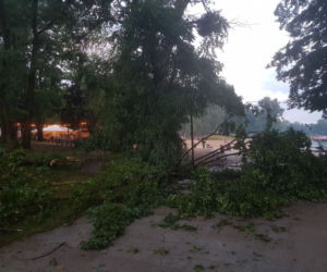 Gwałtowna burza nad Olsztynem - połamane drzewa