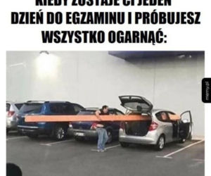 Matura 2019 - MEMY i zabawne obrazki