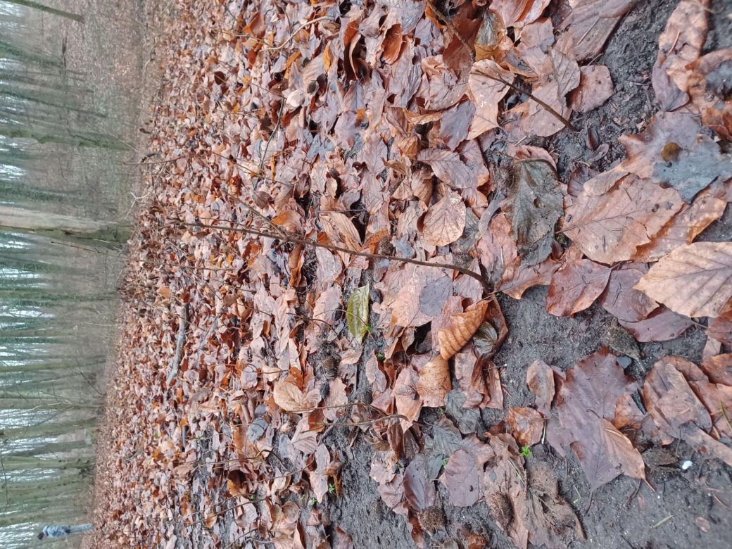 Park Zacisze