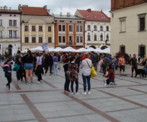 Barwna parada psów w Tarnowie! Tyle słodziaków w jednym miejscu!