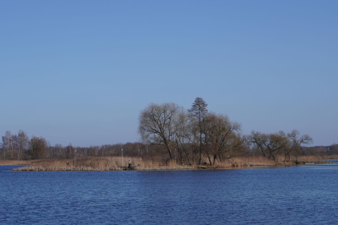 Powstaje park linowy w Białymstoku! To nowa inwestycja na plaży Dojlidy