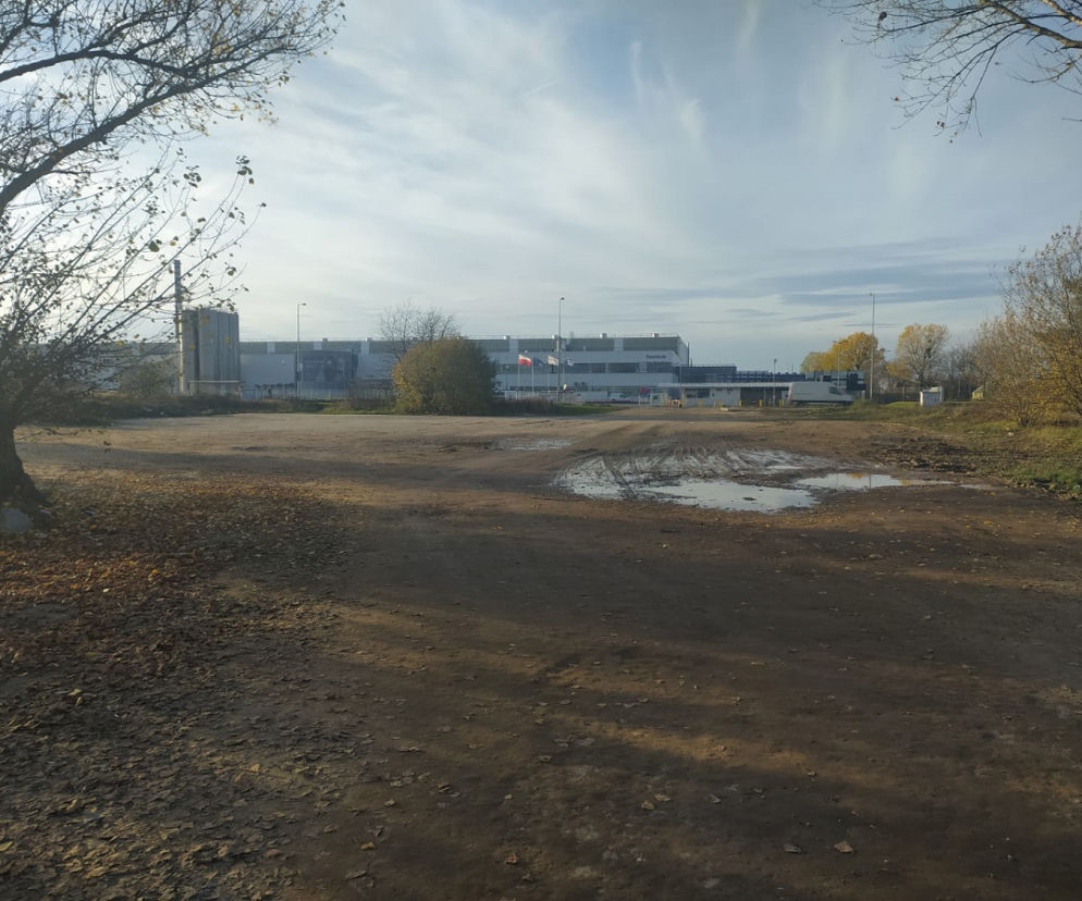 Gorzów ursus 