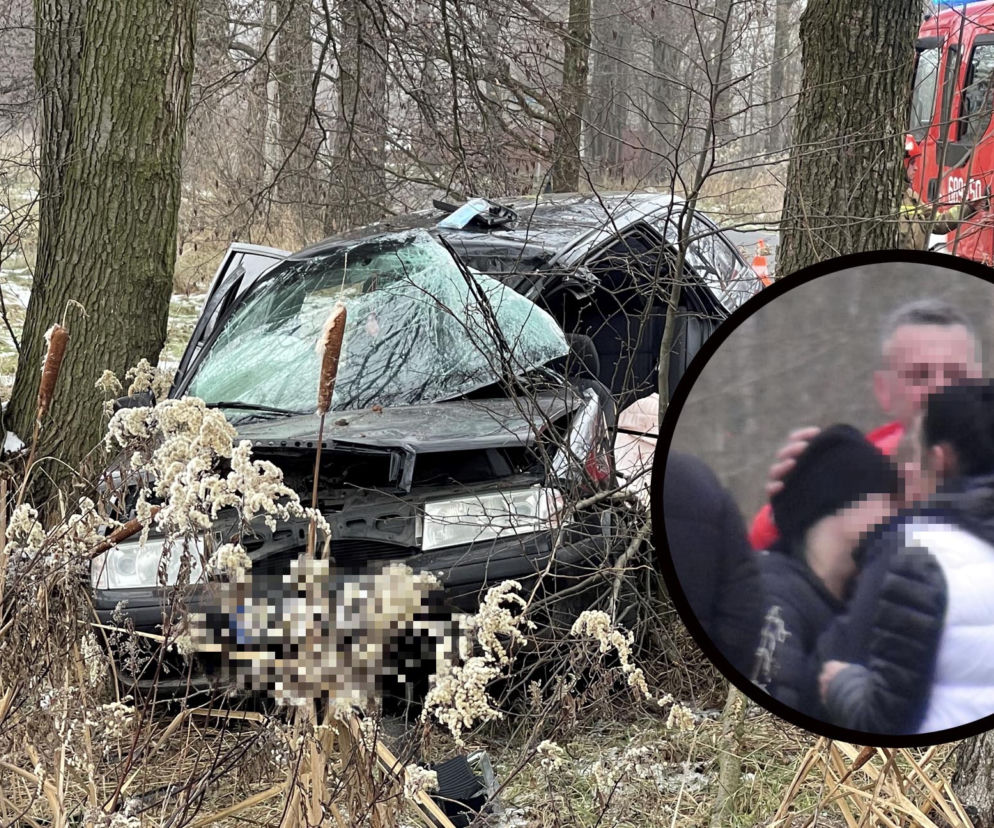 Tragedia pod Wołominem. Wypadła z drogi, rozbiła się na drzewie. 19-latka nie żyje