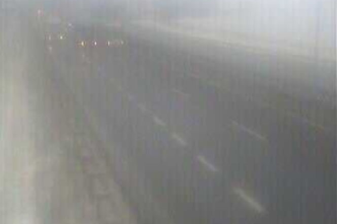 Smog w Polsce