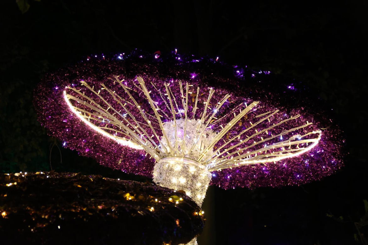 Park iluminacji 2023 w Lublinie