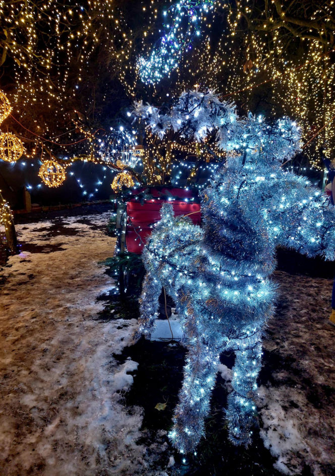 Dom bydgoskich Griswoldów znów rozbłysł. "Powieśiliśmy 300 tysięcy lampek. Przygotowywaliśmy jej od lipca!"