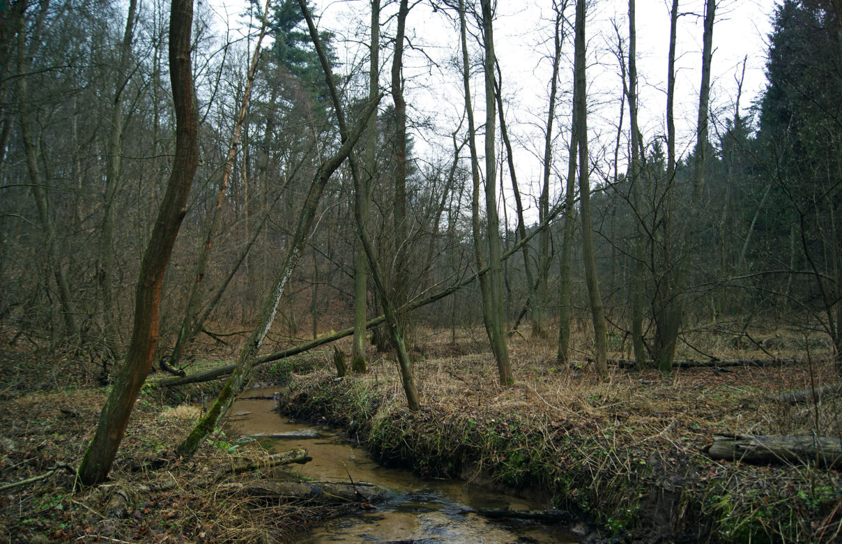 Dolina Potoku Rudno