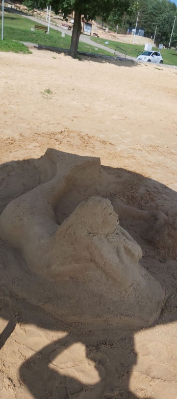 Szukamy imienia dla Syrenki, która pojawiła się na plaży w Brodach