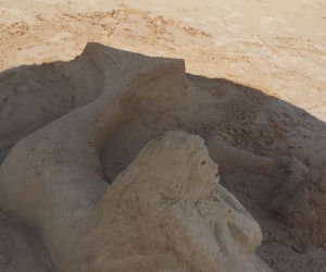 Szukamy imienia dla Syrenki, która pojawiła się na plaży w Brodach