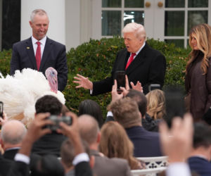 Trump ułaskawił indyki. Ale poprzednie zostaną zjedzone?!