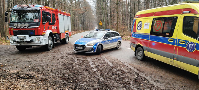 Skoda z dwiema osobami w środku uderzyła w drzewo. 4-letnie dziecko trafiło do szpitala