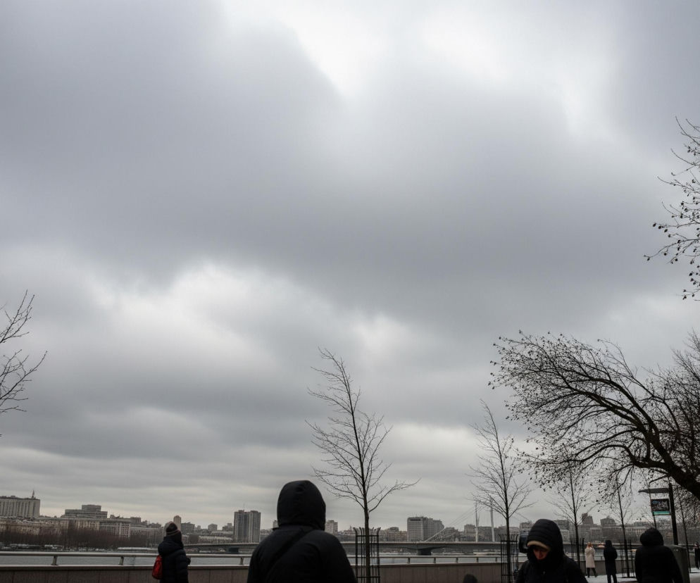 Szare, zachmurzone niebo zajmuje górną połowę obrazu. Poniżej widoczna jest linia horyzontu z zarysem miasta, złożonym z budynków i mostów, biegnąca przez całą szerokość kadru. Na pierwszym planie, od lewej do prawej, rozmieszczone są nagie drzewa o ciemnych gałęziach, niektóre z nich posiadają jeszcze resztki suchych owoców lub nasion. Ludzie, ubrani w zimowe kurtki i czapki, są rozproszeni w dolnej części obrazu, niektórzy idą, inni stoją, a ich sylwetki są częściowo zasłonięte przez drzewa i poręcze.