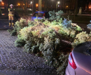 Wichura znów narobiła szkód w Lesznie i powiecie
