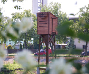 Białystok. Staw przy ul. Mickiewicza ODNOWIONY. Renowacja kosztowała ponad 1,8 mln zł