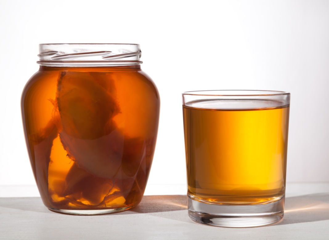KOMBUCHA (kombucza) - właściwości grzyba herbacianego