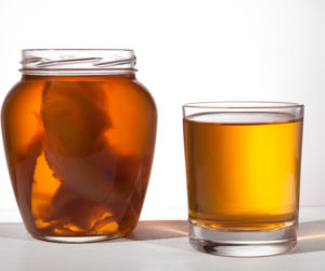 KOMBUCHA (kombucza) - właściwości grzyba herbacianego