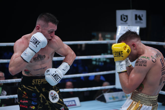 Kalinowski - Stępień