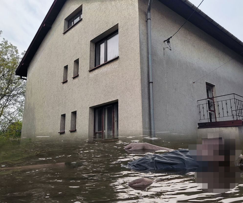 Córka, kochanka i przyjaciółka. Zabiły Antoniego, porąbały ciało i wrzuciły do Wisły. To dom grozy! 