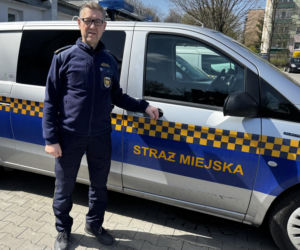 Struł się i szukał pomocy. Chory łoś zablokował ruchliwą trasę